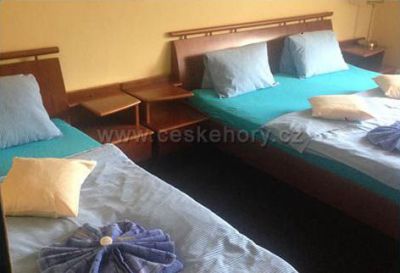 Penzion Lesní pramen