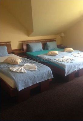 Penzion Lesní pramen