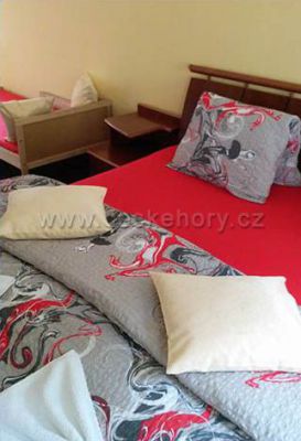 Penzion Lesní pramen