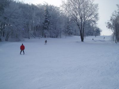 Chata Lesní Zátiší
