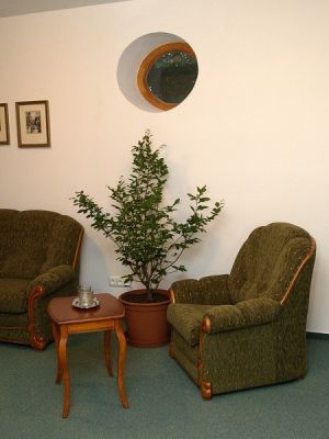 Penzion a restaurace Lesovna Žofín