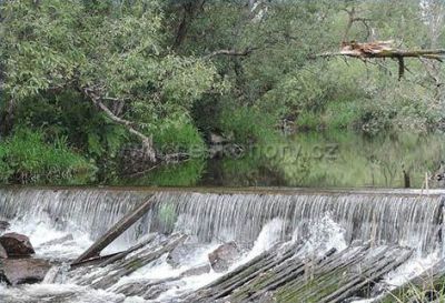 Kemp Léto v pralese