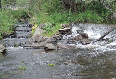 Kemp Léto v pralese