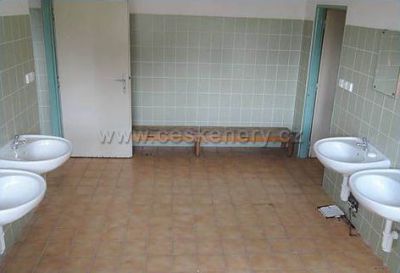 Kemp Léto v pralese