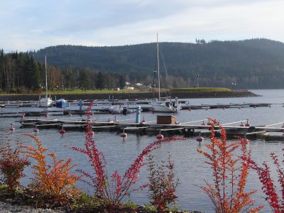 Lipno nad Vltavou Rivera 11