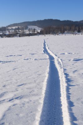 Lipno nad Vltavou Rivera 11
