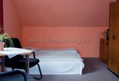 Losinka - holiday resort