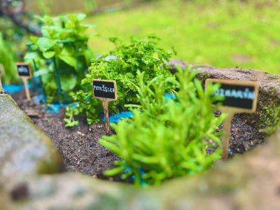 Autentická horská chalupa ze 17. století