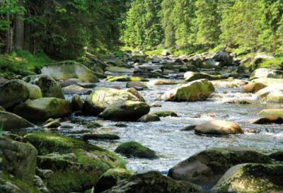 Apartmán Šumava - Petra Macková