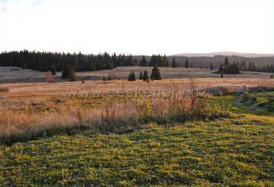 Apartmán Šumava - Petra Macková
