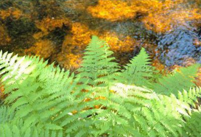 Apartmán Šumava - Petra Macková