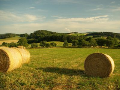 Maringotka Svítilka