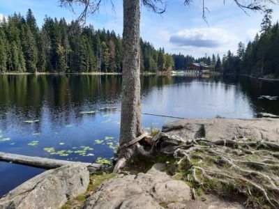 Maringotka Svítilka