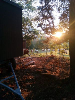 Maringotka Svítilka