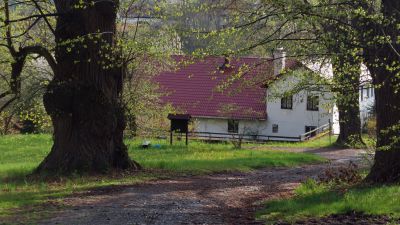 Ubytování Dolejší Krušec