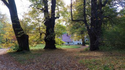 Ubytování Dolejší Krušec