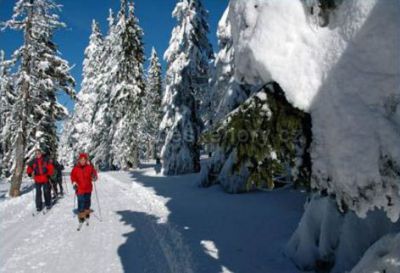 Bouda Matouš - Friesovy boudy