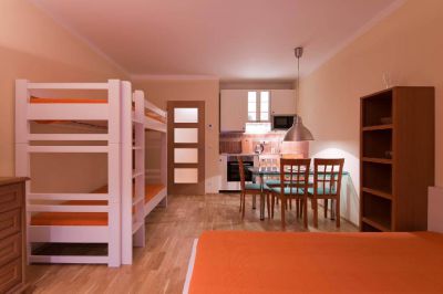 Apartmán Medvědín 408 U sjezdovky