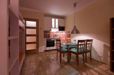 Apartmán Medvědín 408 U sjezdovky