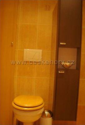 Apartmán u malé vodní elektrárny