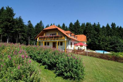 Penzion Patrik Mikulčin Vrch