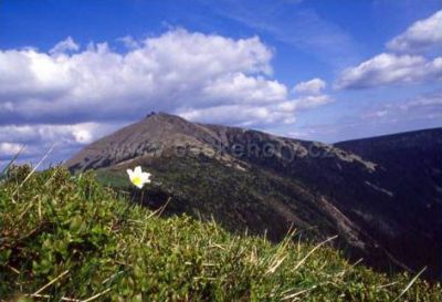 Horský pension Mileta