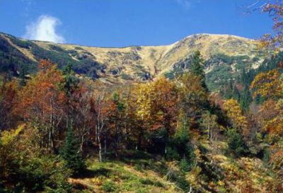 Horský pension Mileta