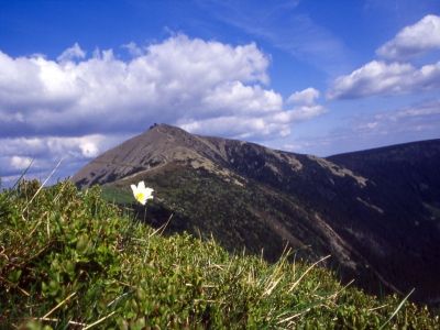 Horský penzion MILETA