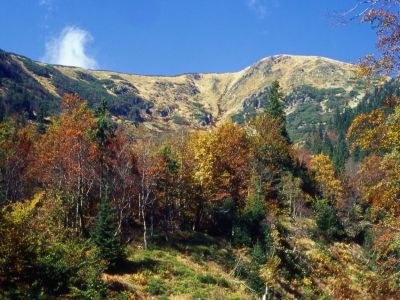 Horský penzion MILETA