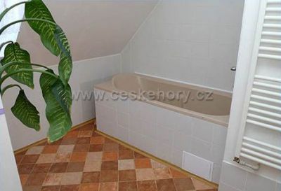 Apartmán Modrý dům