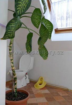 Apartmán Modrý dům