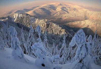 Apartmán Modrý dům