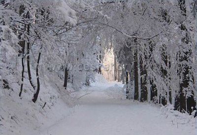 Apartmán Modrý dům