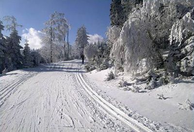 Apartmán Modrý dům