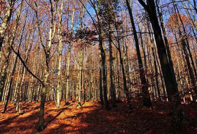 Apartmán Modrý dům