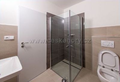 Horské apartmány Stříbrnice