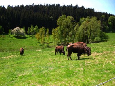 Penzion Na výsluní