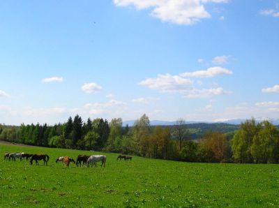 Penzion Na výsluní