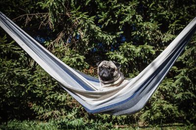 Chalupa Nad Vidnavkou