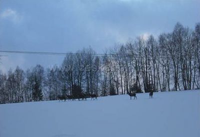 Penzion Na Hájovně - horský penzion, chalupa