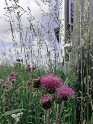 Glamping Na Malém Háji