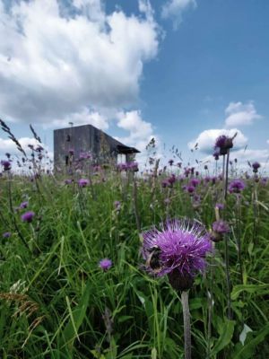 Glamping Na Malém Háji
