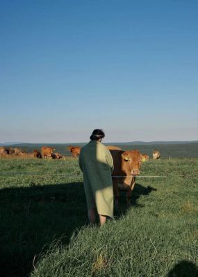 Glamping Na Malém Háji