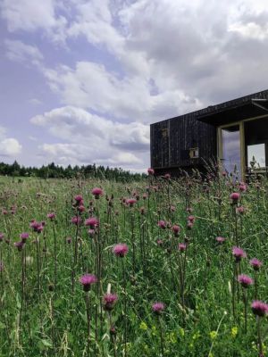 Glamping Na Malém Háji