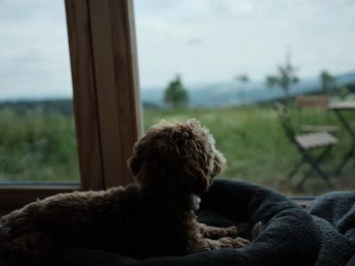 Glamping Na Malém Háji