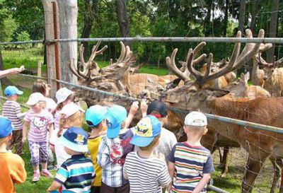 NATURA Rumburk - na Jelení farmě