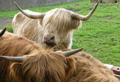 NATURA Rumburk - na Jelení farmě