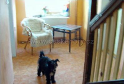 Penzion restaurace Nika