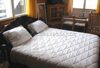 Chata Žďárský Potok