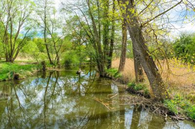 Chalupa Novákův dvůr